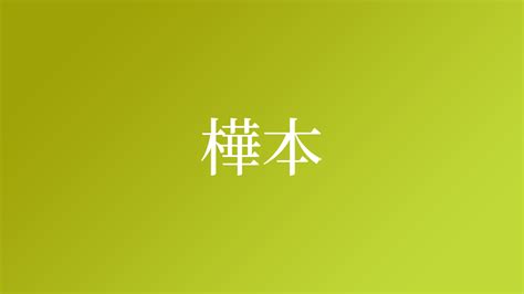 樺名字|樺,由来,名字,起源,ルーツ